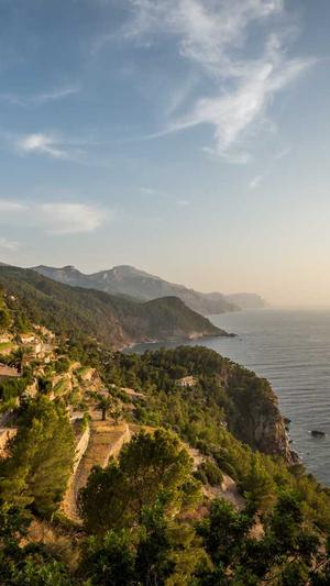 蜘蛛池最怕什么虫截图1