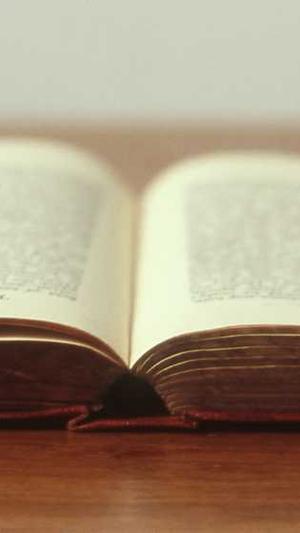 张家口网站建设截图1