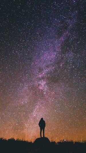 seo网络推广是什么截图1