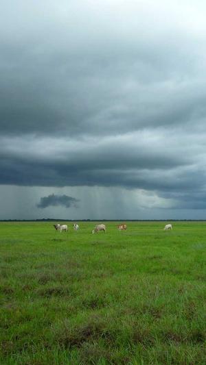 seo排名查询工具截图3