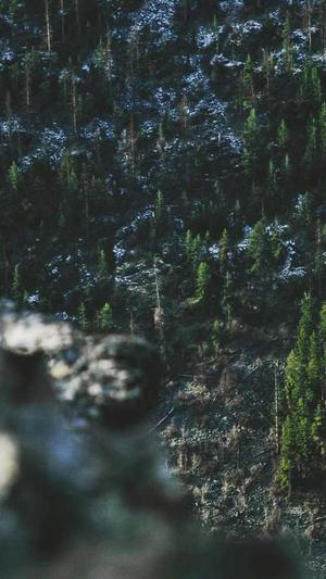 落月蜘蛛池站群系统截图1