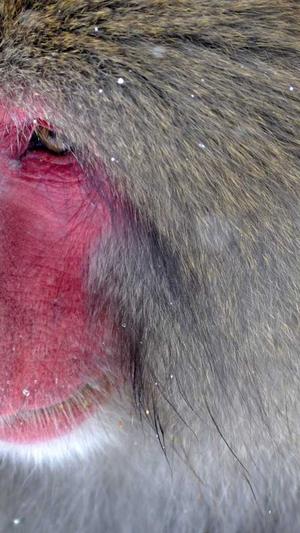 网站seo服务截图2