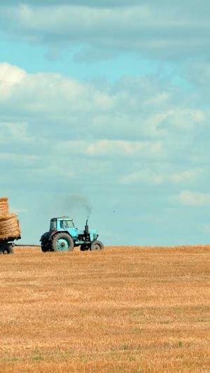 如何优化网站seo截图3