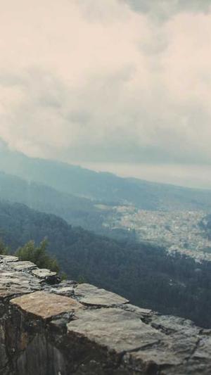 seo搜索优化工具截图4