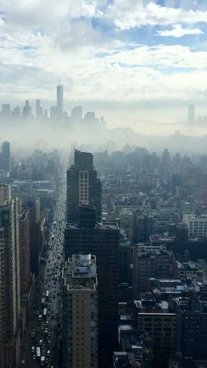 seo技术培训截图2