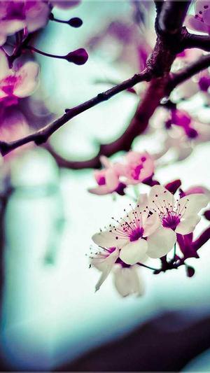 蜘蛛池刷排名需要多久截图3