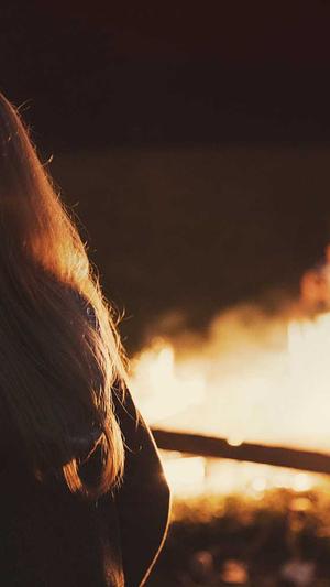 哪里有好点的蜘蛛池租截图3