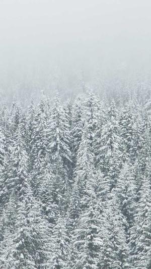 外推蜘蛛池留痕截图2