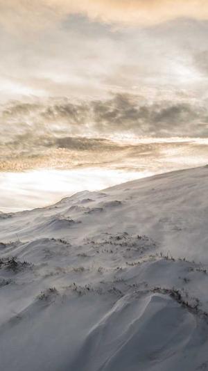 SEO快速排名工具截图4