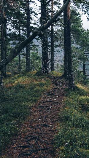 衢州网站建设截图3