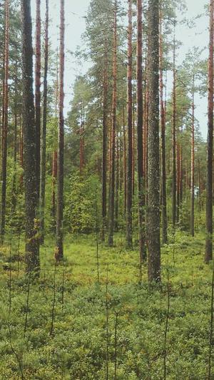 seo瞬时网络培训首选截图1