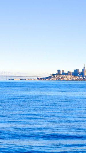 内蒙古百度蜘蛛池出租截图4