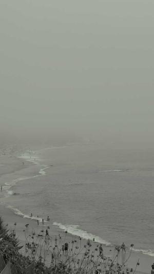 SEO超级外链工具截图1