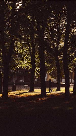 吉林省建设厅网站截图2