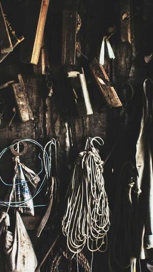 酒店网站建设截图2