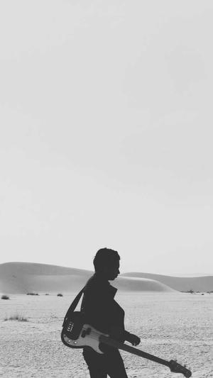 强大的蜘蛛池去哪租截图2