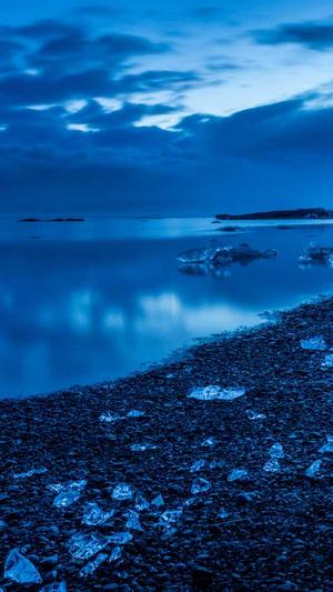 超级蜘蛛池购买条件截图1