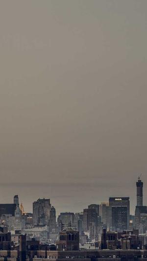 常用的seo查询工具截图1