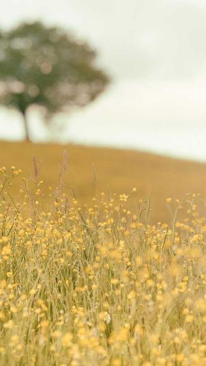 蜘蛛池关键词排名截图5