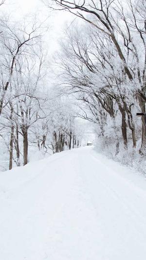 重庆seo优化的工具截图2