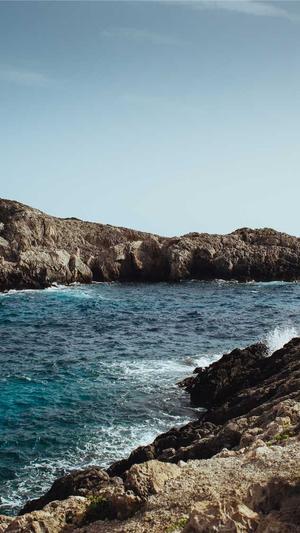 常用seo工具大全截图3