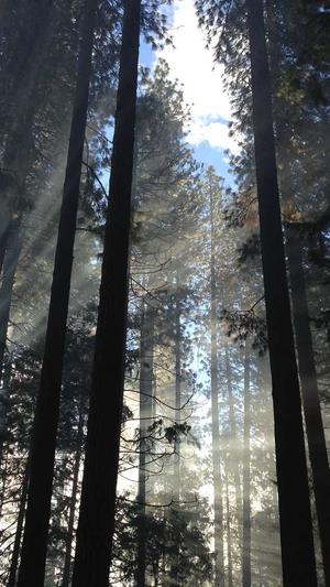 主播炸蜘蛛池截图3