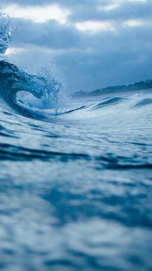 seo软文推广工具截图1