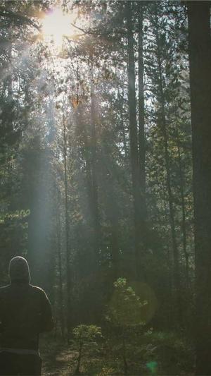 百度seo关键词截图4