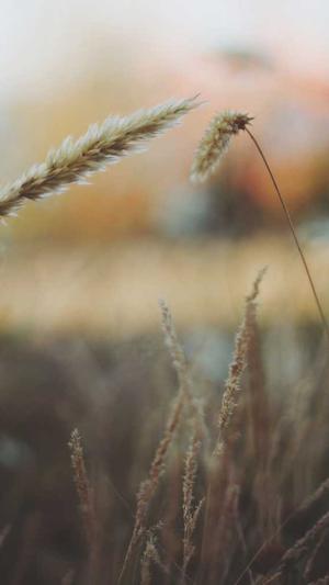 福州网站建设截图2