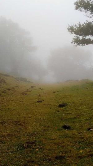 seo网站收录工具截图1