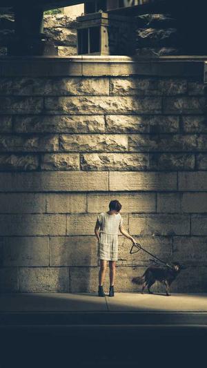 云南蜘蛛池出租服务截图2